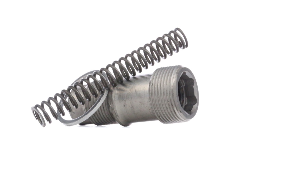 Febi Bilstein 01050 Timing Chain Tensioner
