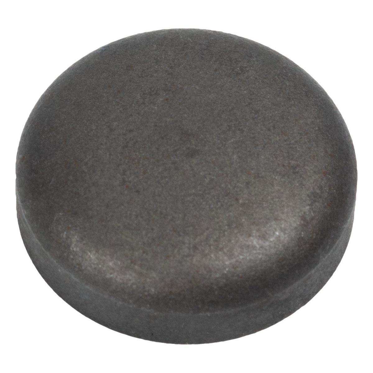 Febi Bilstein 03199 Frost Plug
