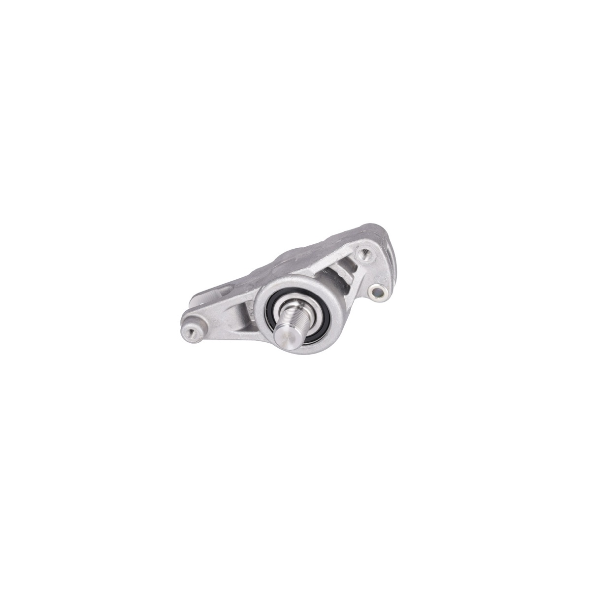 Febi Bilstein 05072 Tensioner Lever, V-Ribbed Belt