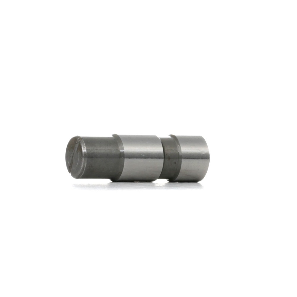 Febi Bilstein 05619 Timing Chain Tensioner