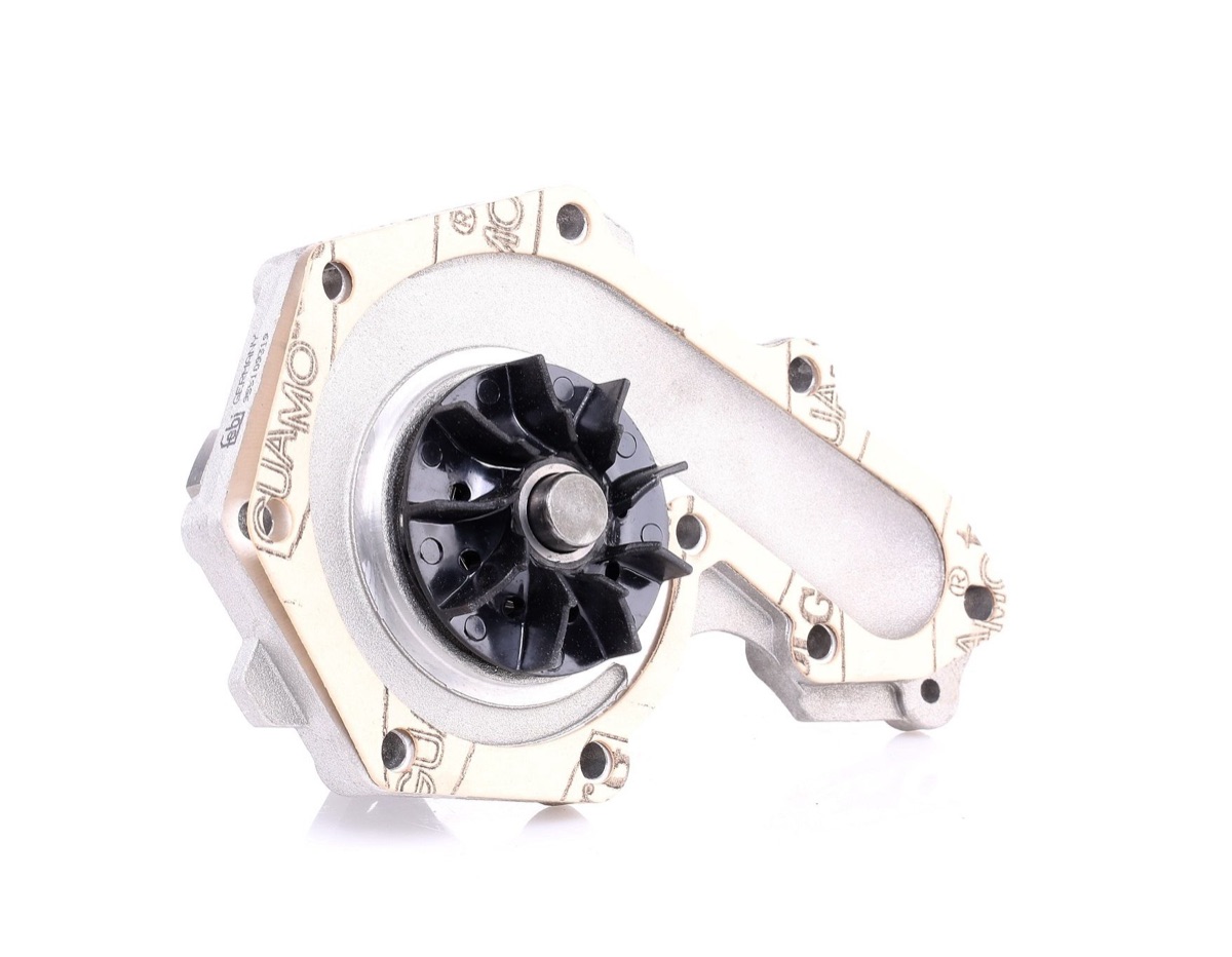 Febi Bilstein 09319 Water Pump