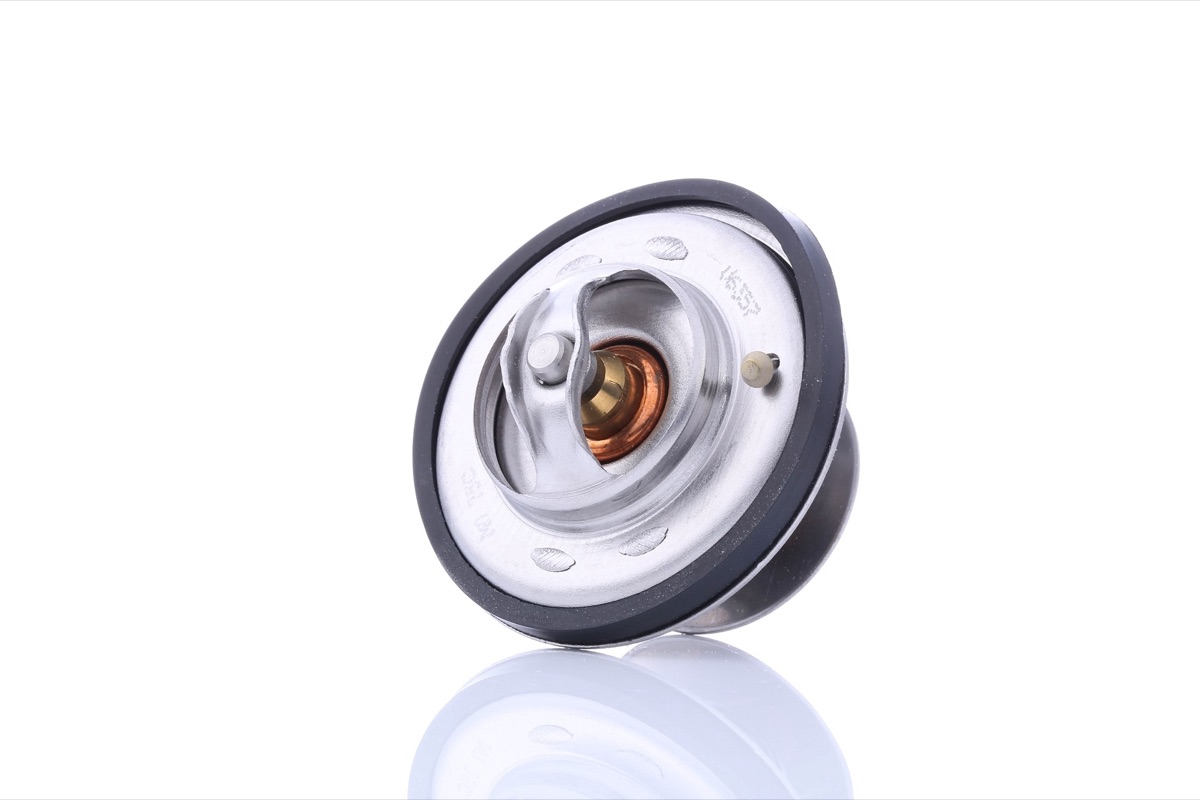 Febi Bilstein 09675 Thermostat