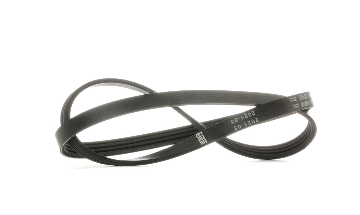 Bosch 1 987 946 081 Serpentine Belt