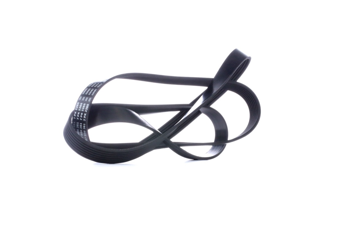Bosch 1 987 946 261 Serpentine Belt