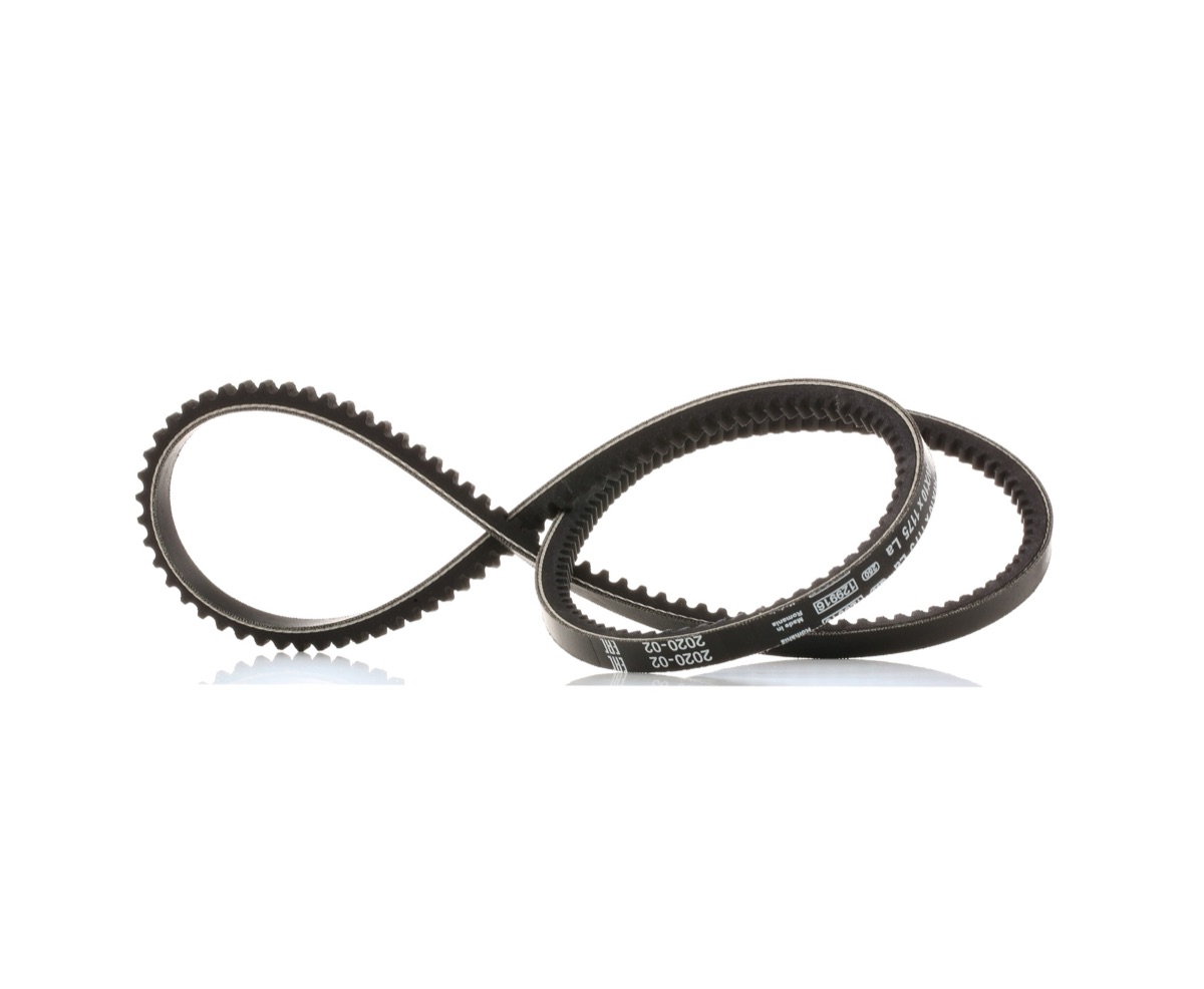 Bosch 1 987 947 645 V-Belt