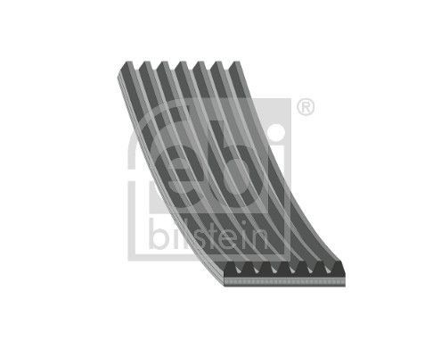Febi Bilstein 1000312 Serpentine Belt
