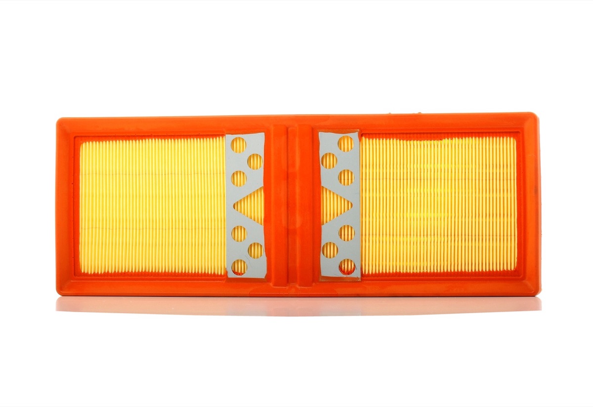 Febi Bilstein 101662 Air Filter