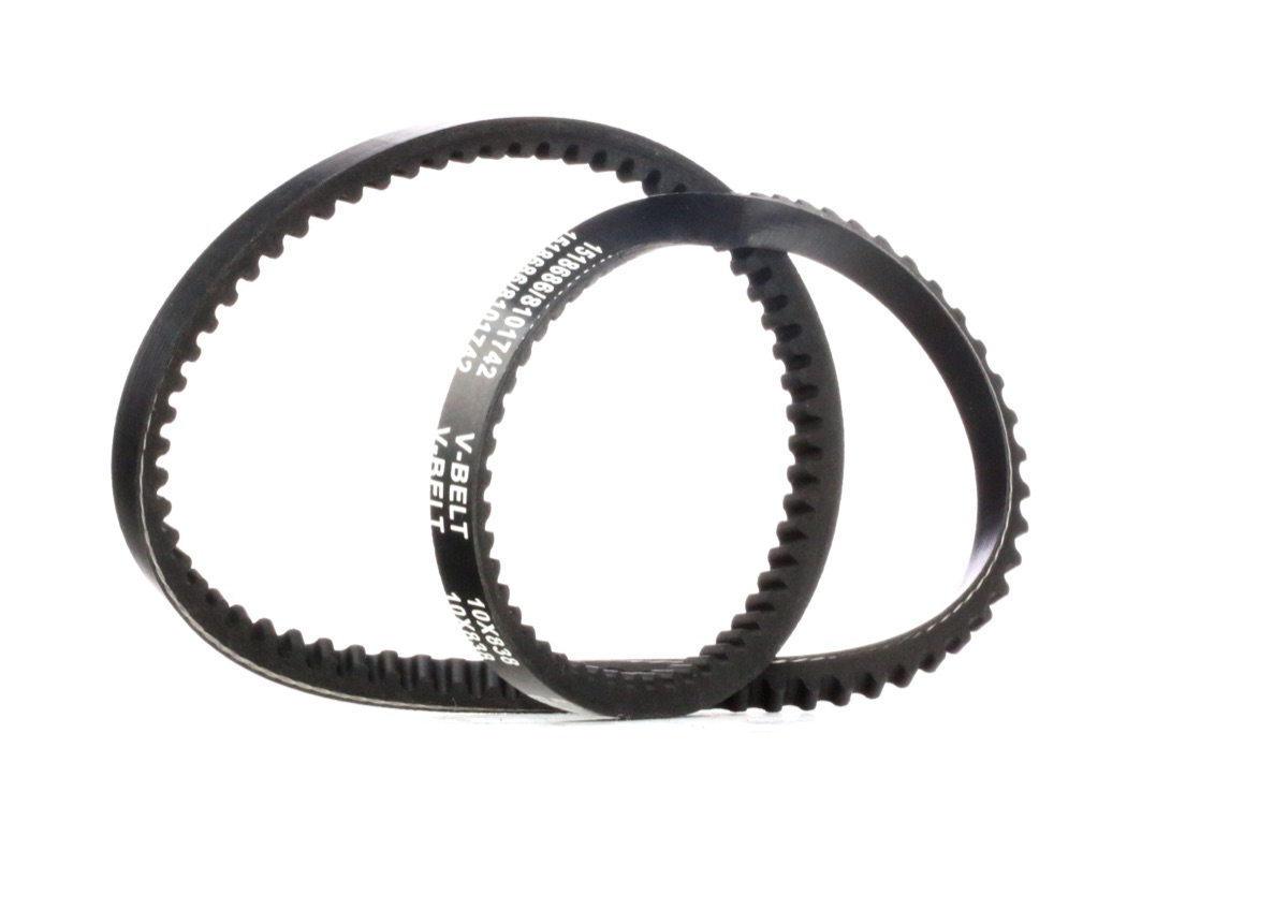 Ridex 10C0062 V-Belt
