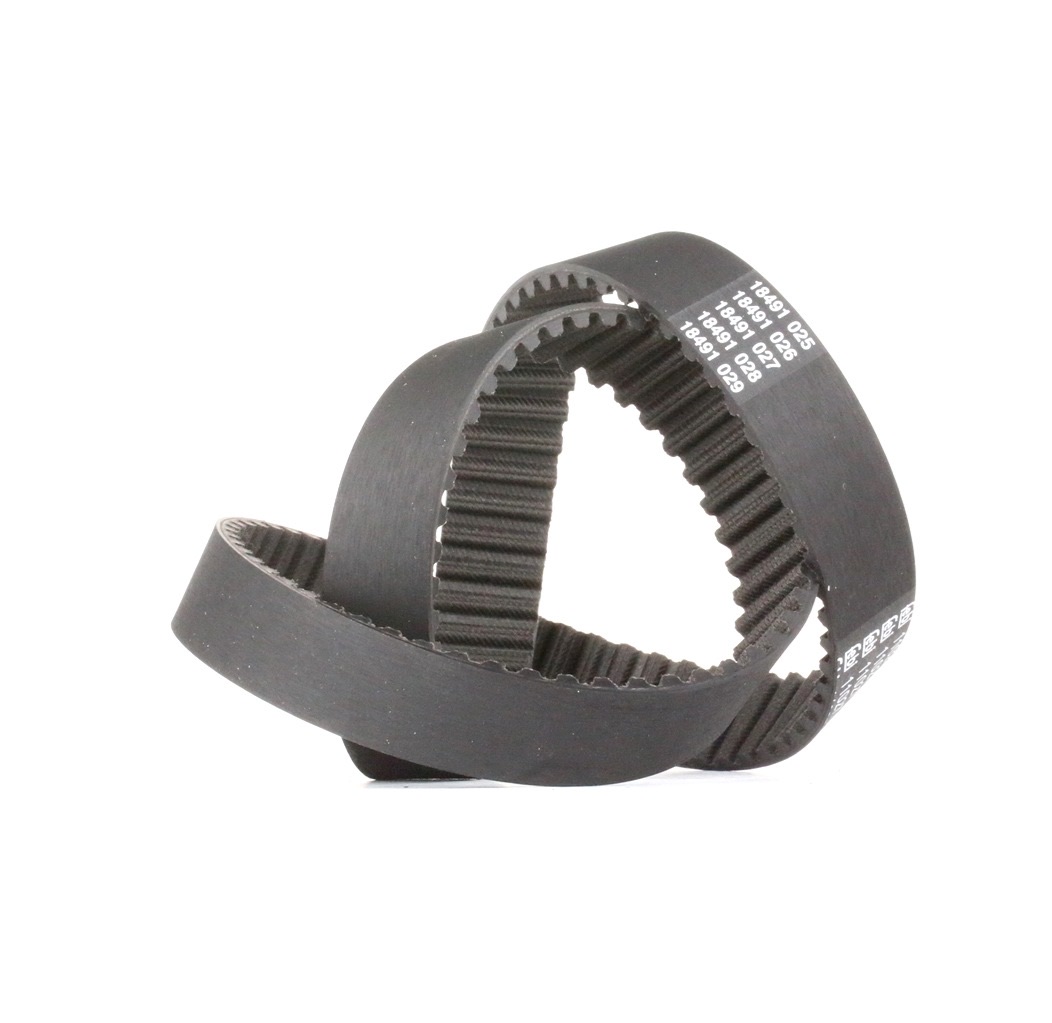 Febi Bilstein 11027 Timing Belt