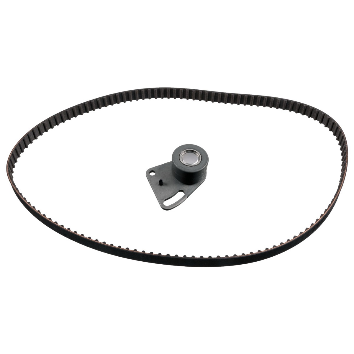 Febi Bilstein 11056 Timing Belt Kit