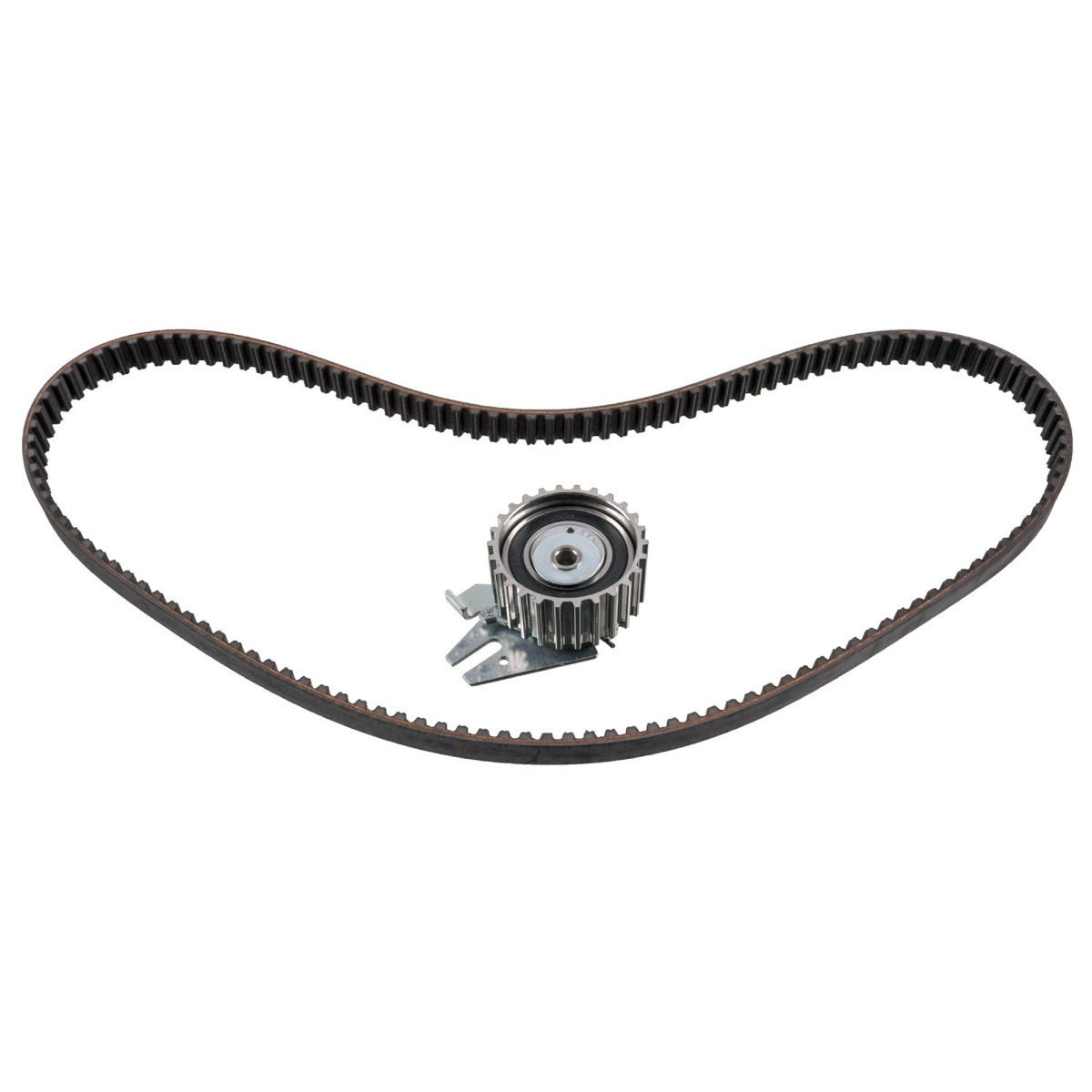 Febi Bilstein 11087 Timing Belt Kit