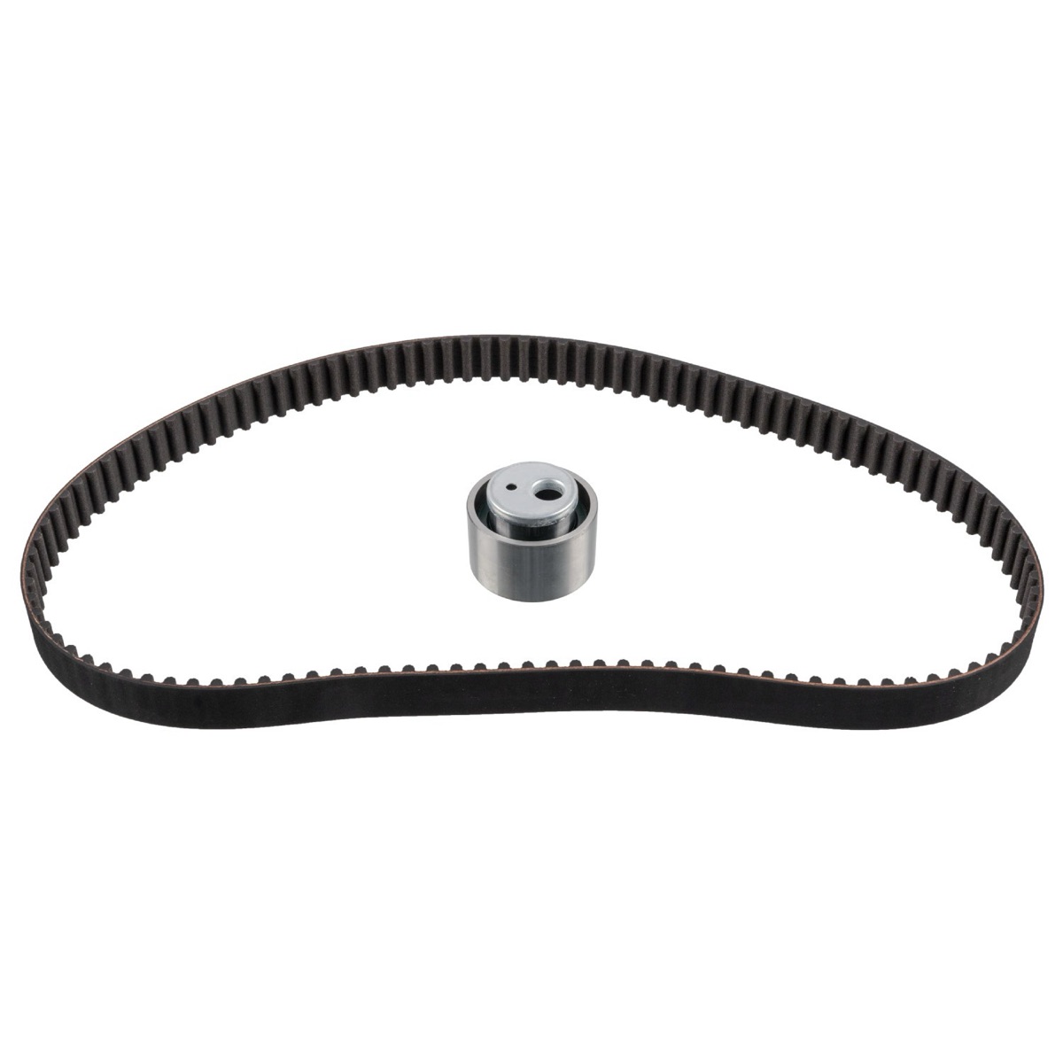 Febi Bilstein 11669 Timing Belt Kit