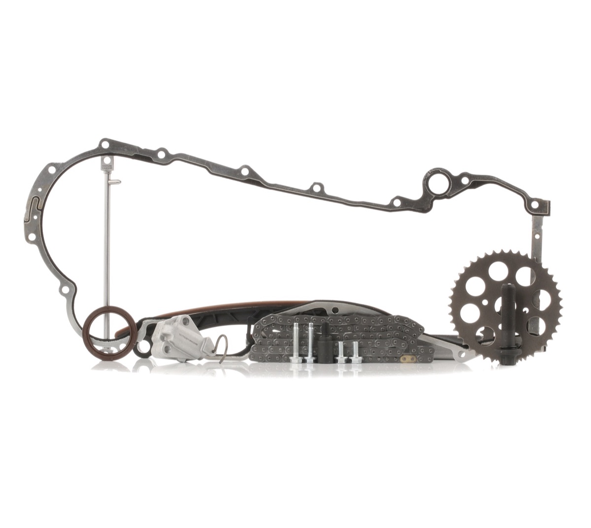 Ridex 1389T0002 Timing Chain Kit