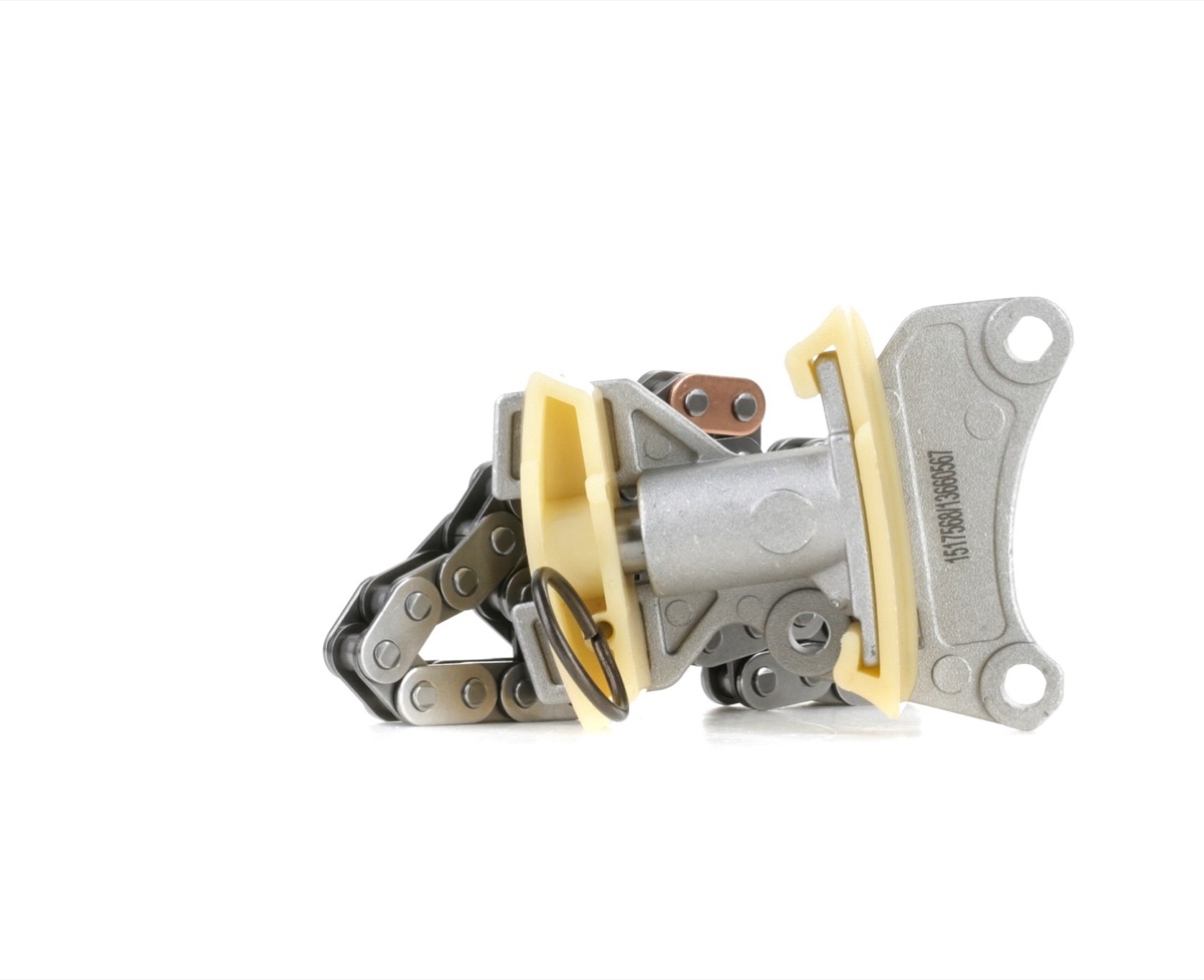 Ridex 1389T0011 Timing Chain Kit