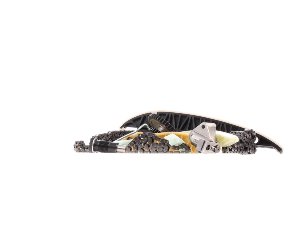 Ridex 1389T0241 Timing Chain Kit