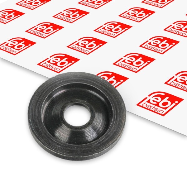 Febi Bilstein 15924 Heat Shield, Injection System
