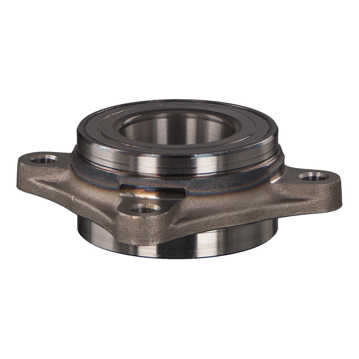 Febi Bilstein 173058 Wheel Bearing Kit