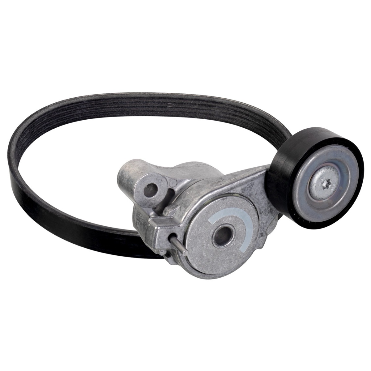 Febi Bilstein 177999 V-Ribbed Belt Set