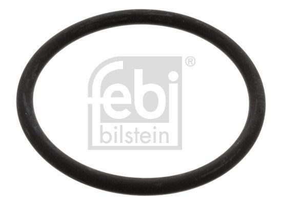 Febi Bilstein 17966 Gasket, Thermostat