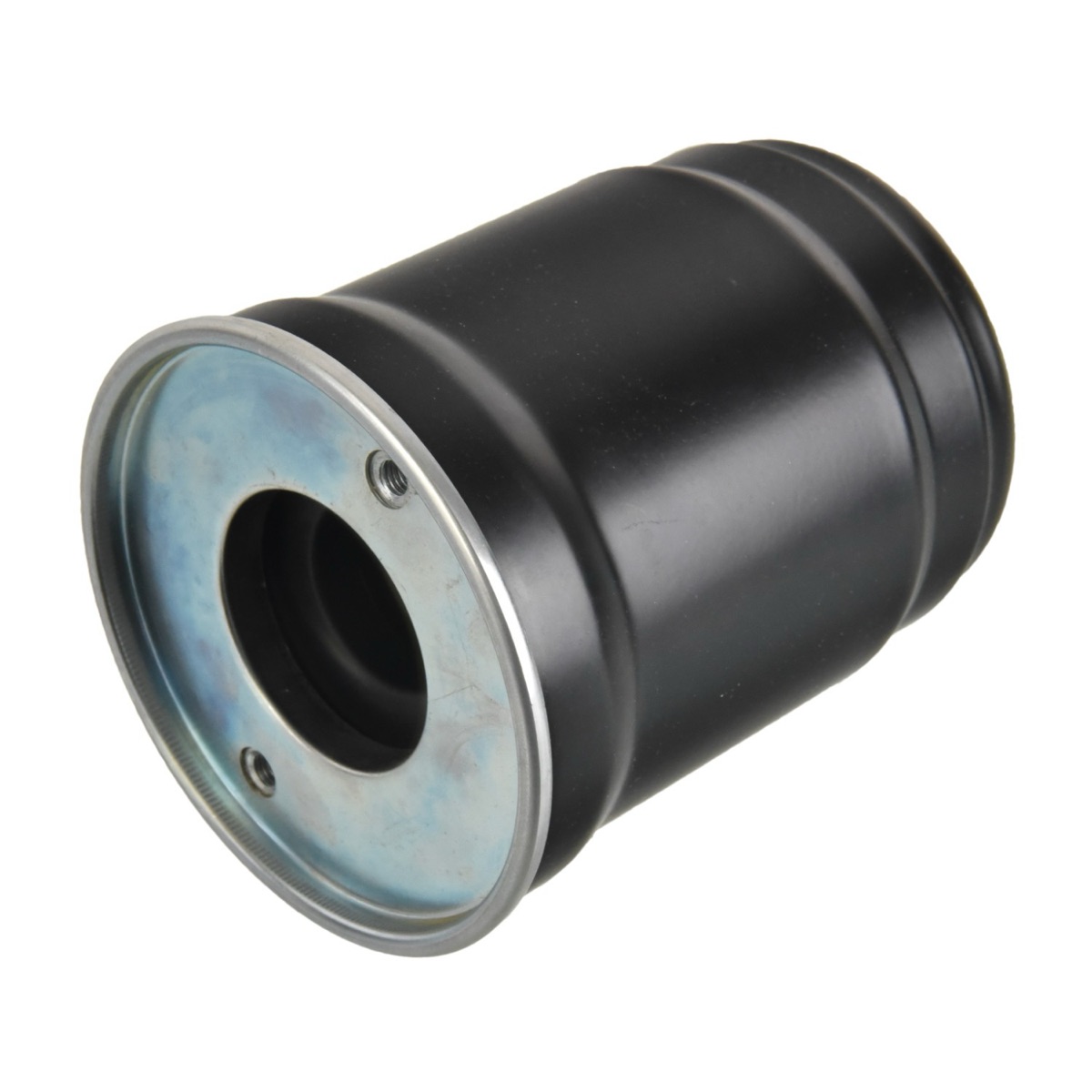 Febi Bilstein 184365 Fuel Filter