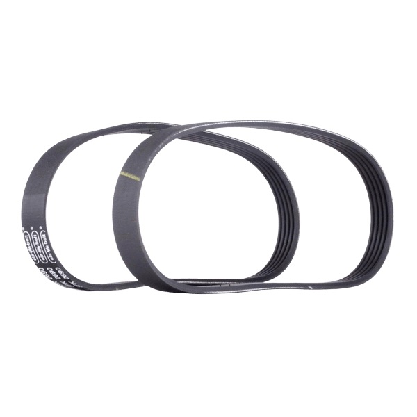 Febi Bilstein 187699 V-Ribbed Belt Set