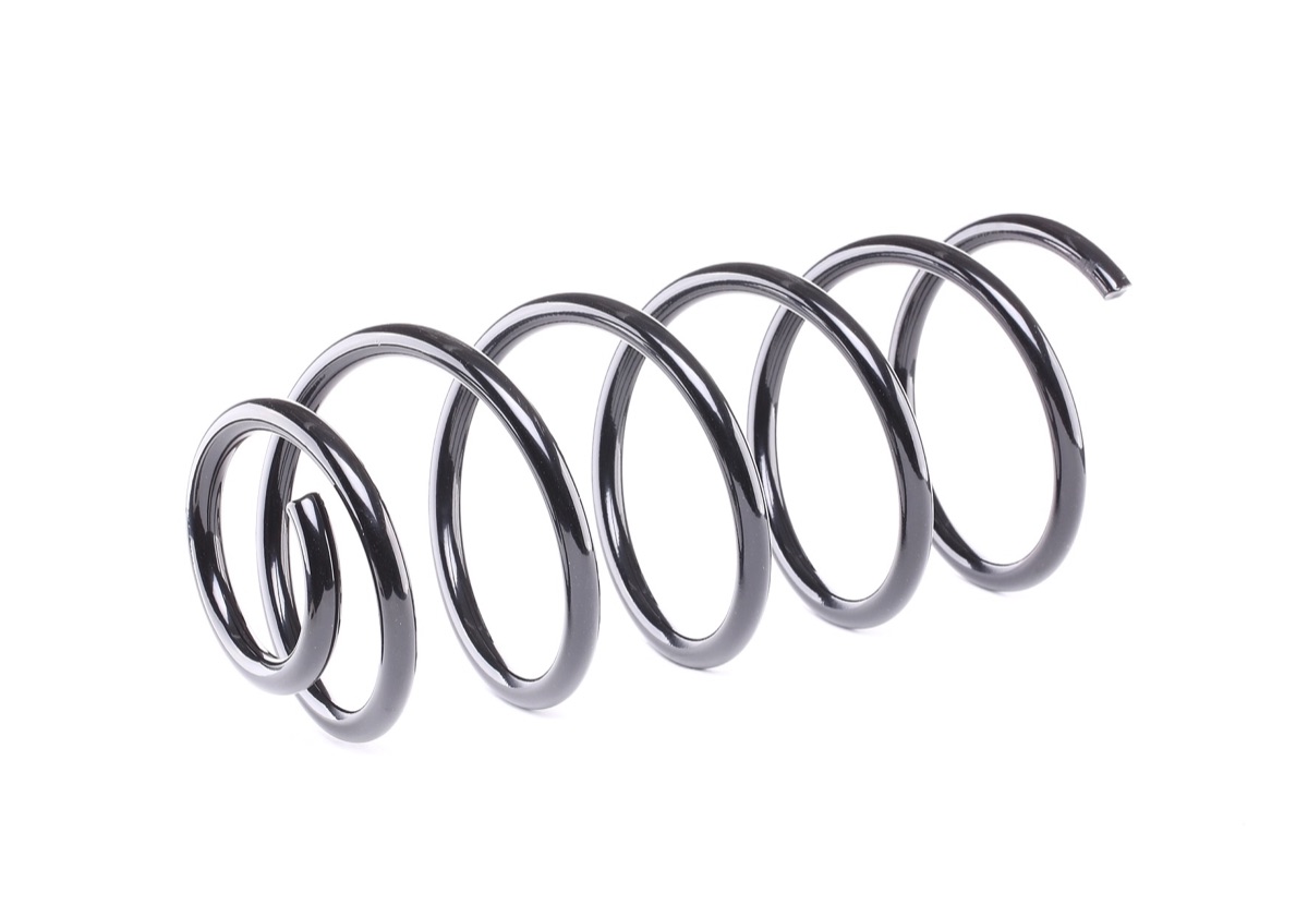 Ridex 188C0002 Coil Spring