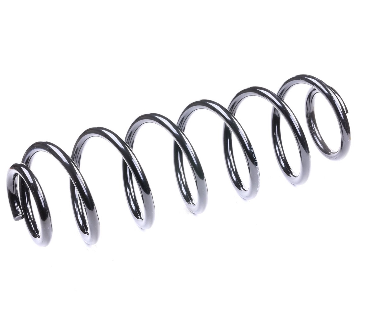 Ridex 188C0004 Coil Spring