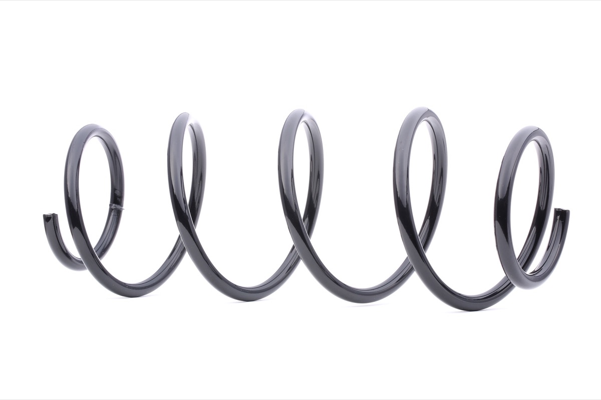 Ridex 188C0006 Coil Spring