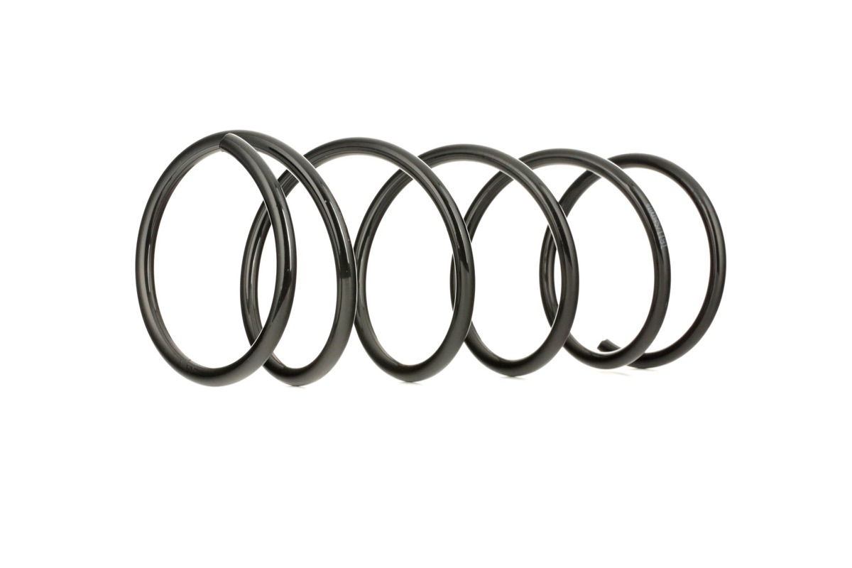 Ridex 188C0018 Coil Spring