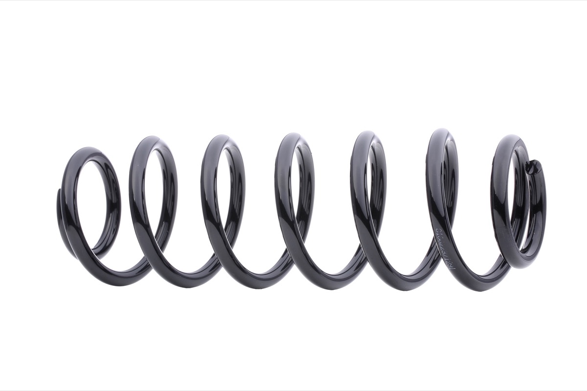 Ridex 188C0026 Coil Spring