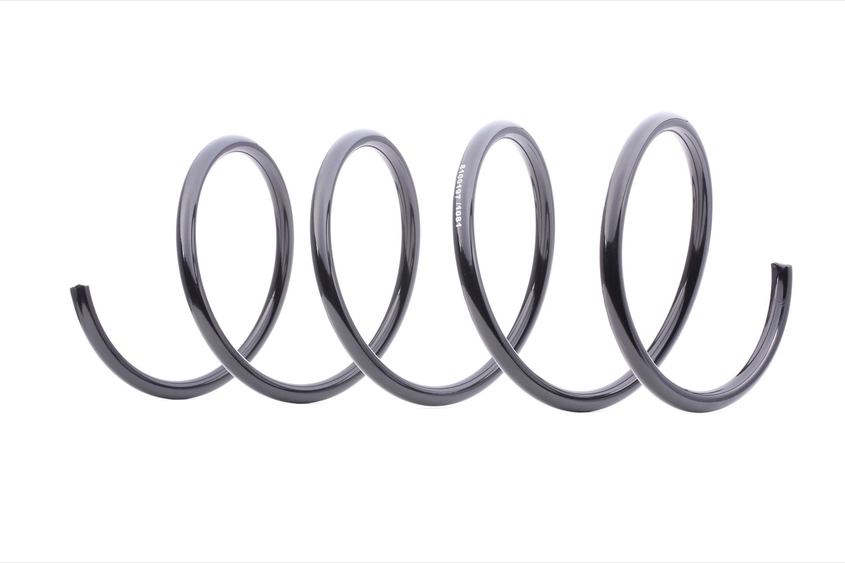 Ridex 188C0032 Coil Spring