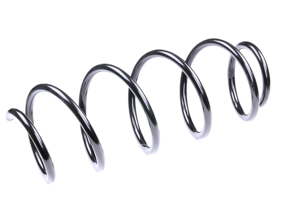 Ridex 188C0034 Coil Spring