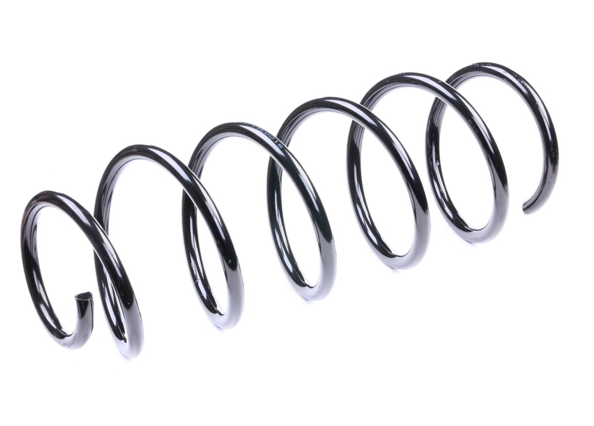 Ridex 188C0050 Coil Spring