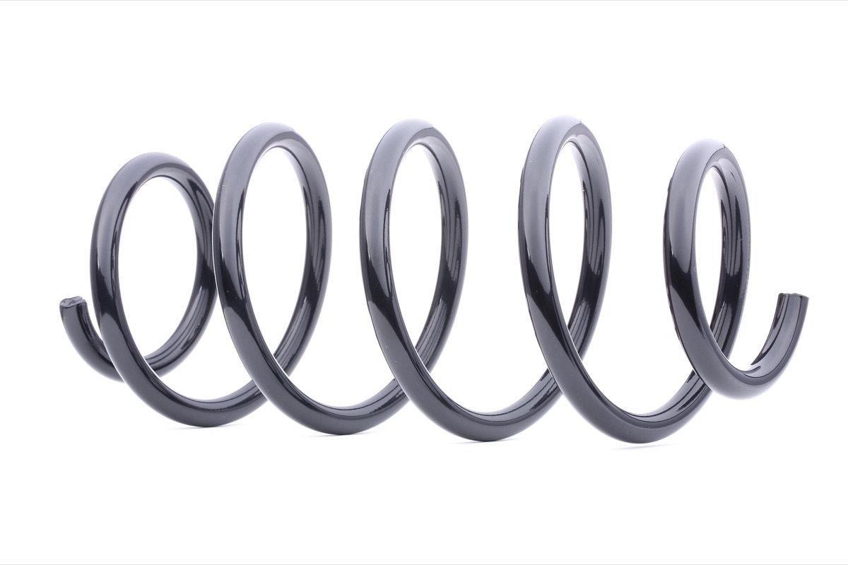 Ridex 188C0089 Coil Spring