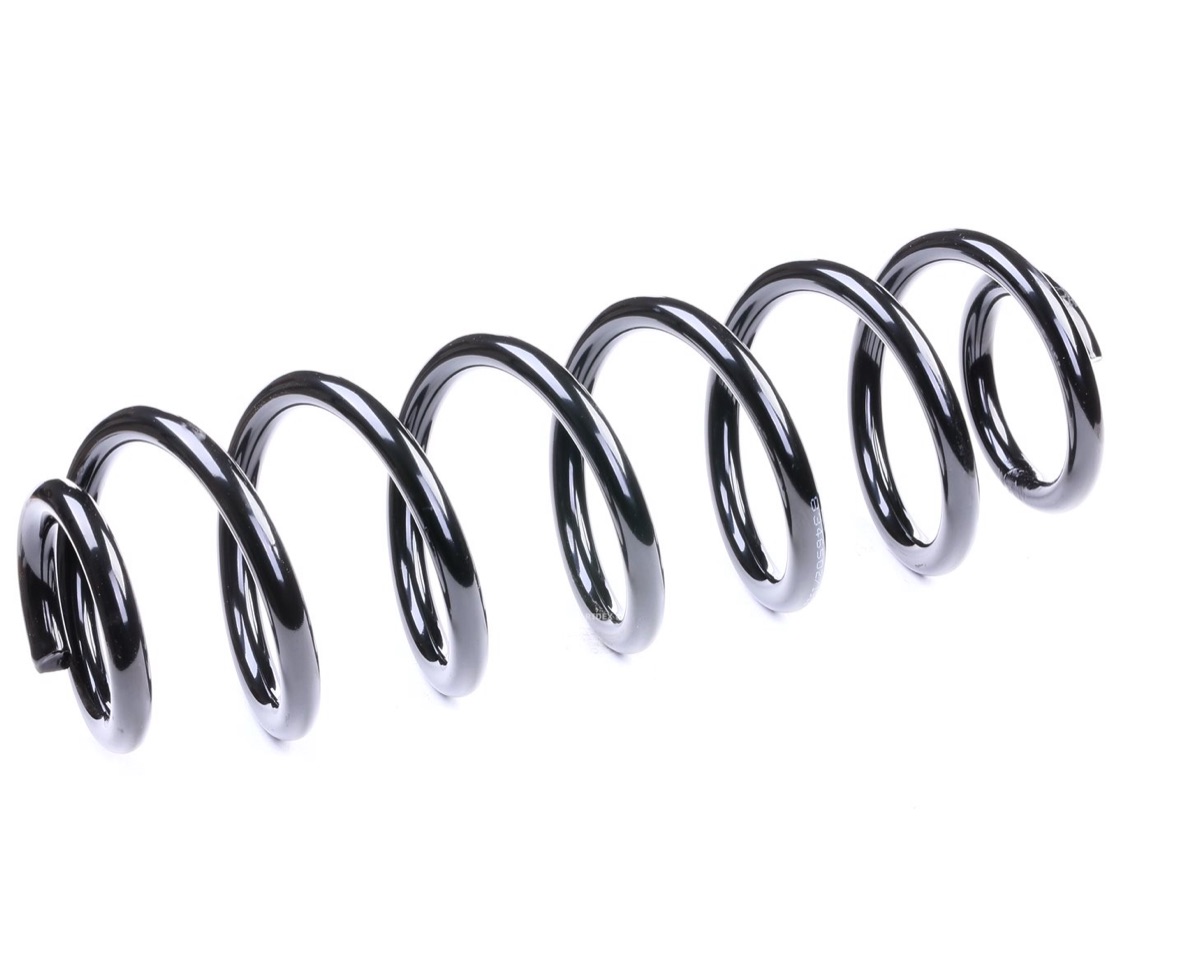 Ridex 188C0125 Coil Spring