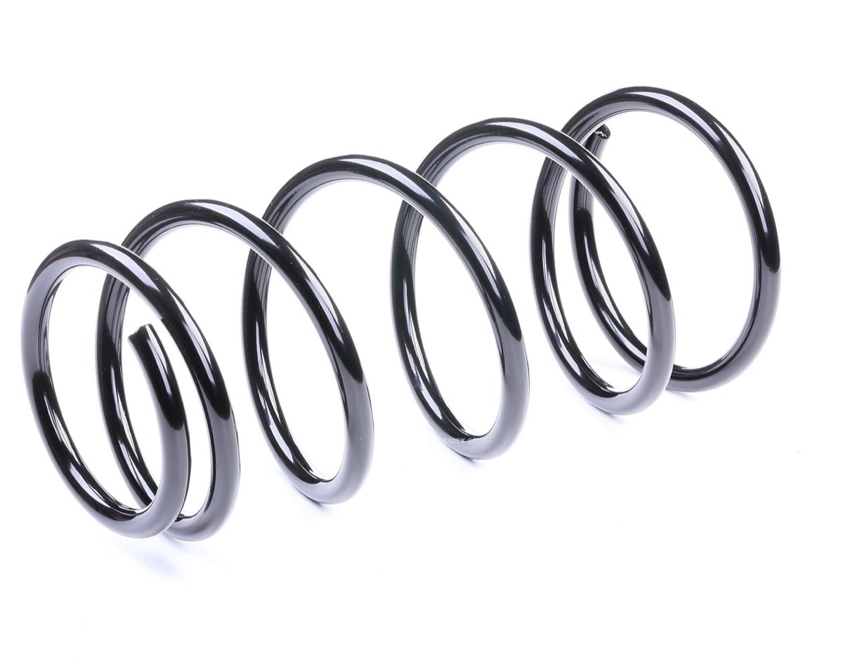 Ridex 188C0136 Coil Spring