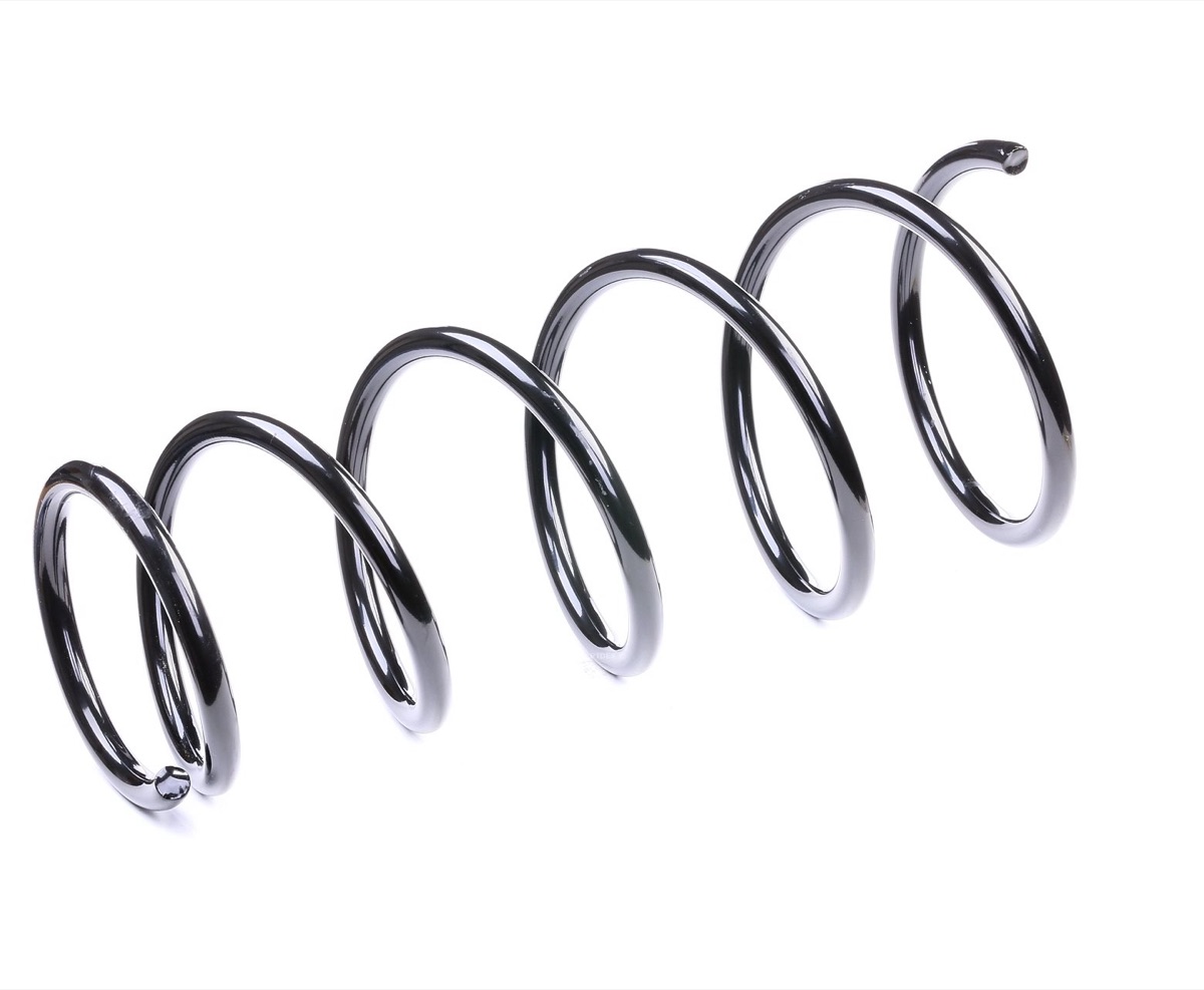 Ridex 188C0146 Coil Spring