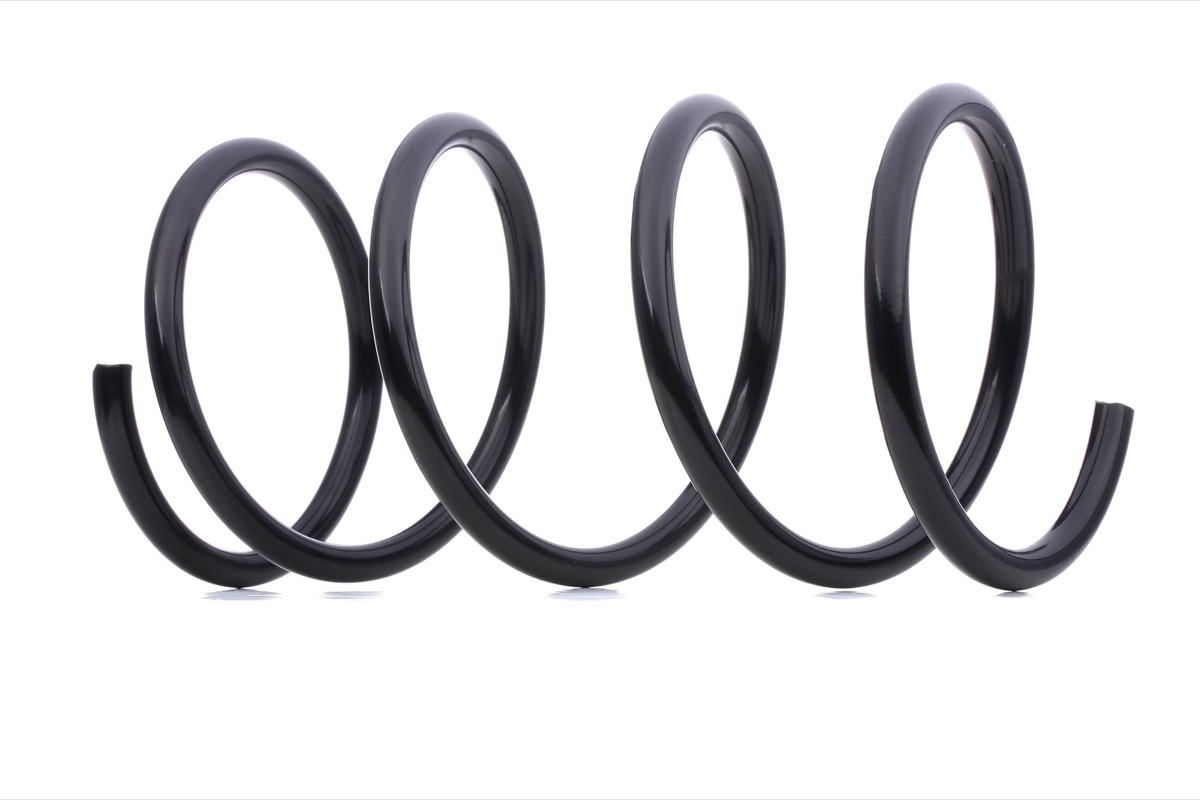 Ridex 188C0149 Coil Spring