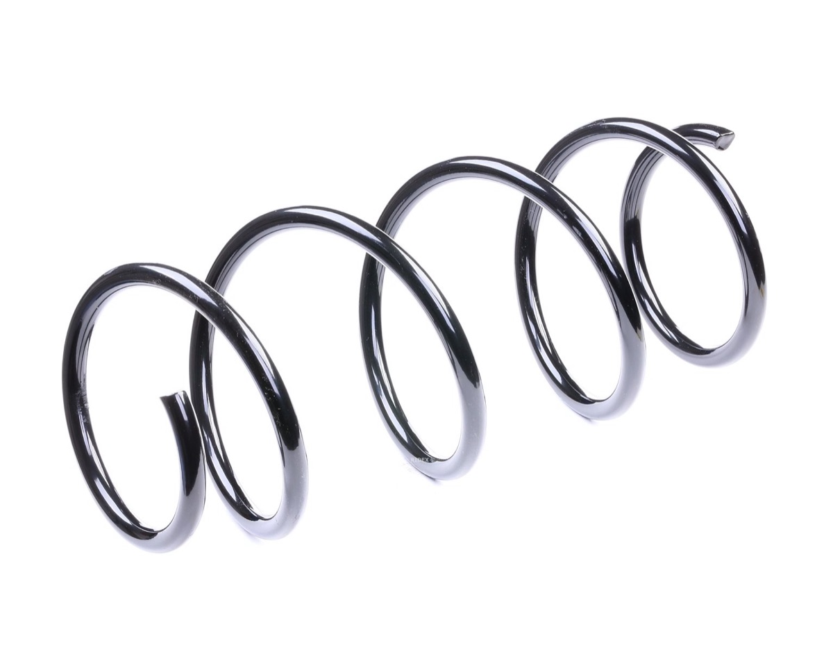 Ridex 188C0157 Coil Spring