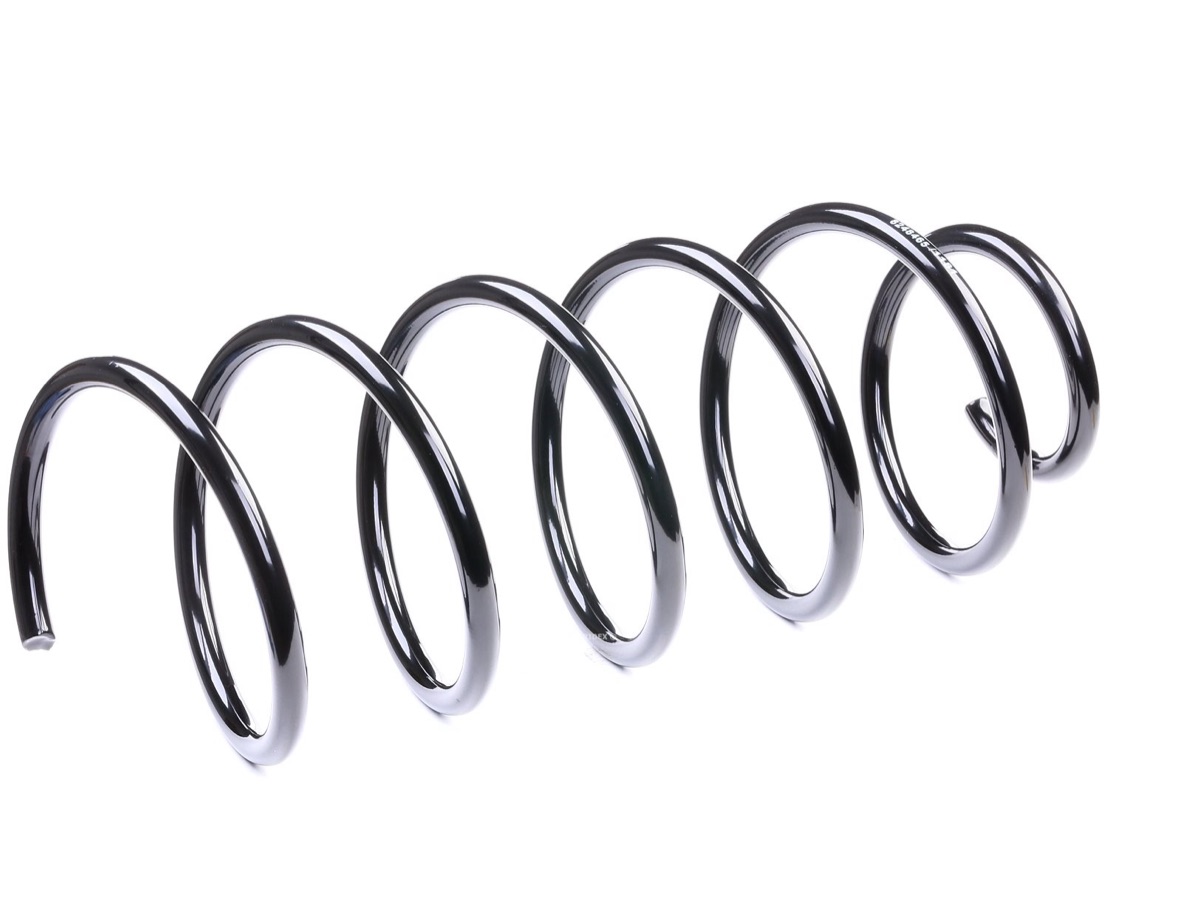 Ridex 188C0185 Coil Spring