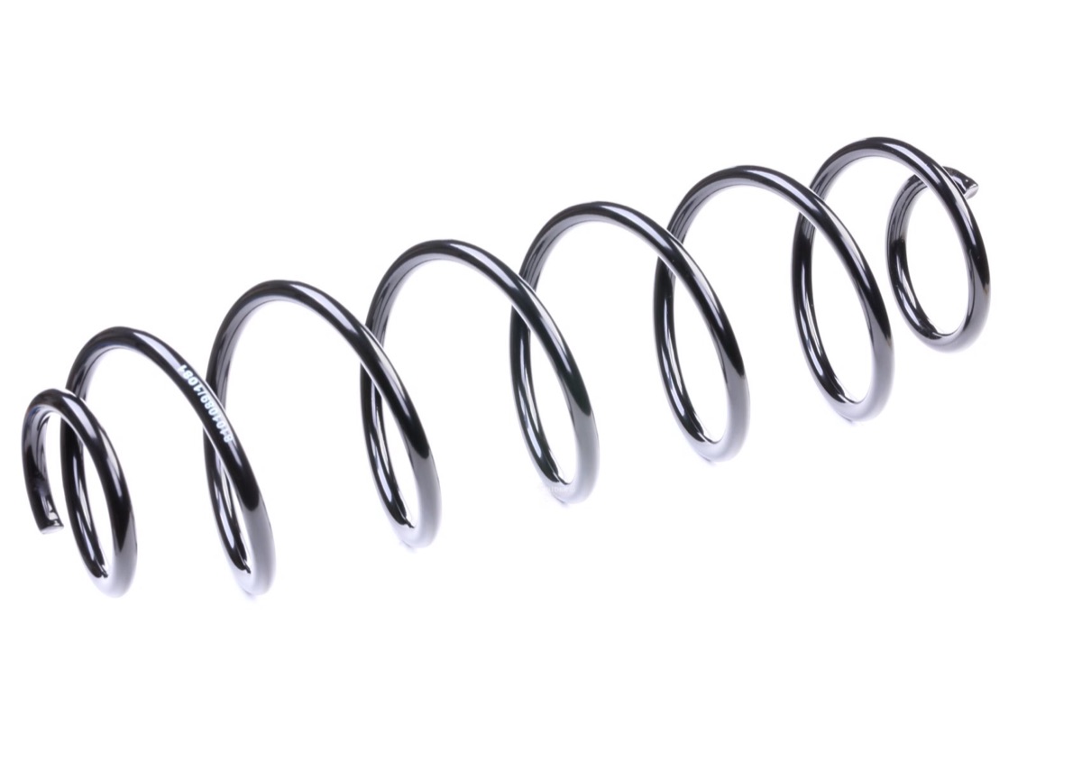 Ridex 188C0203 Coil Spring