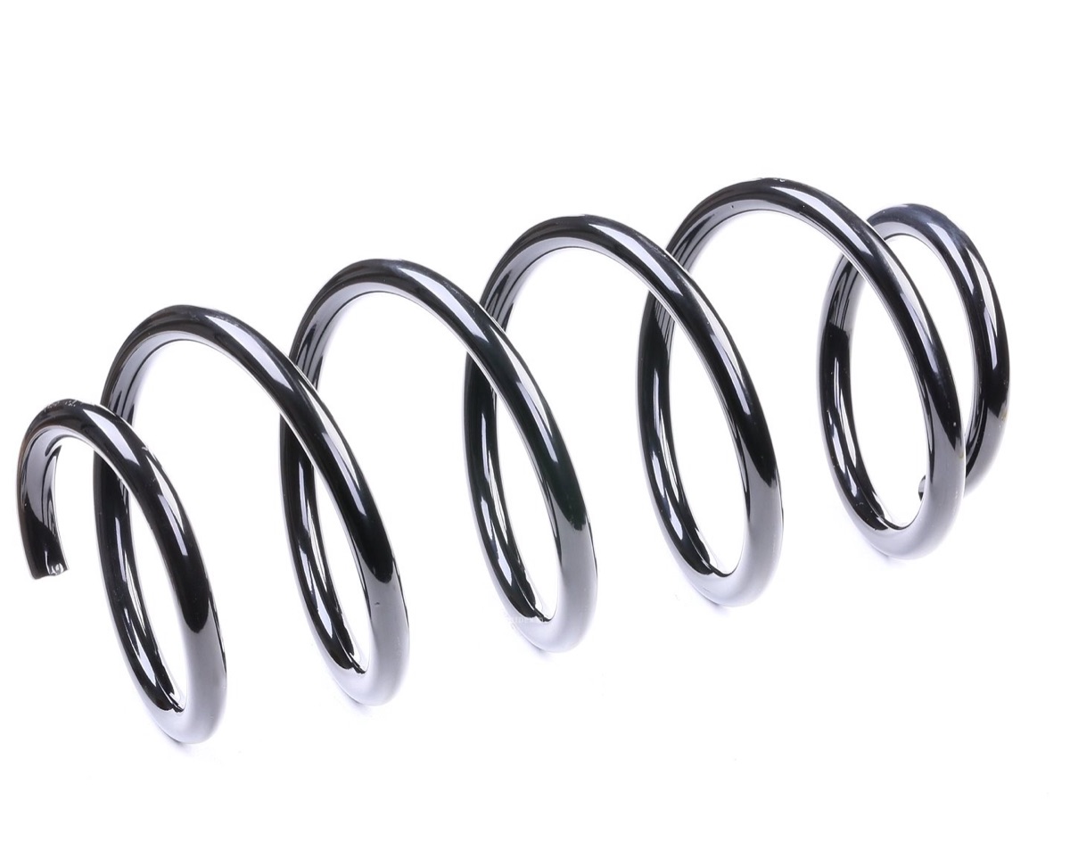 Ridex 188C0230 Coil Spring