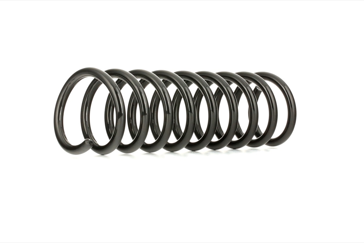 Ridex 188C0275 Coil Spring