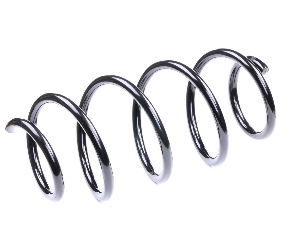 Ridex 188C0296 Coil Spring