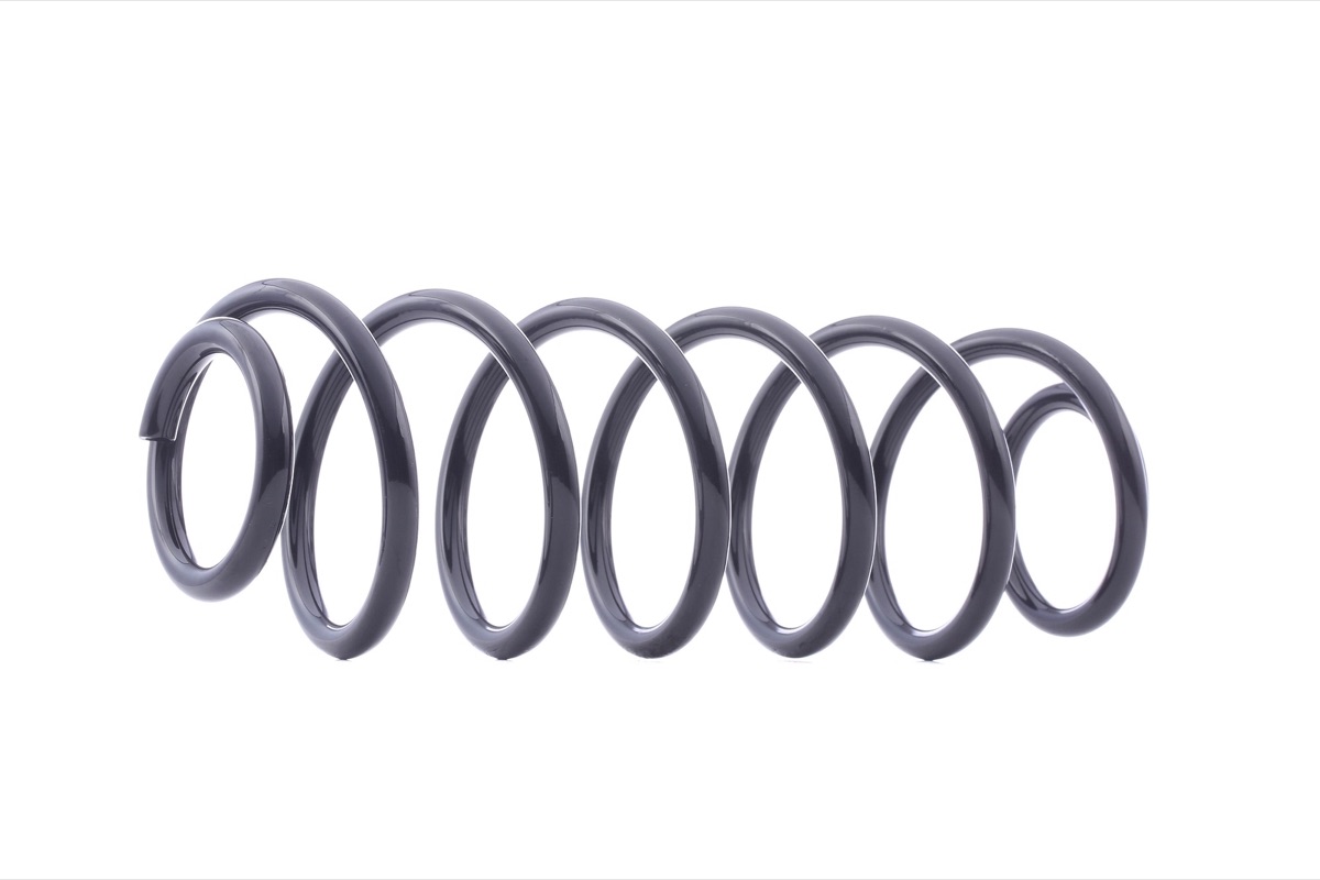 Ridex 188C0308 Coil Spring