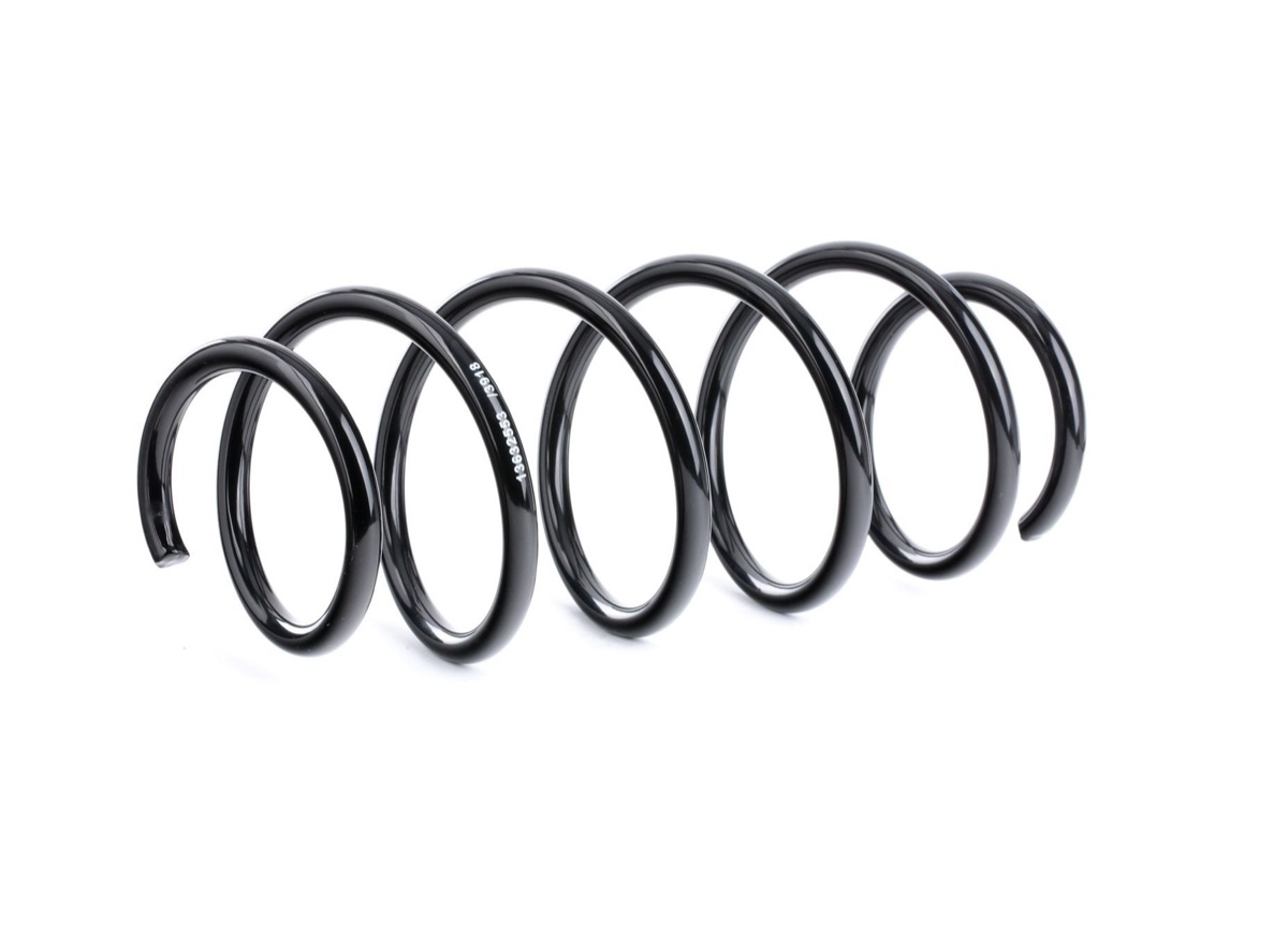 Ridex 188C0313 Coil Spring