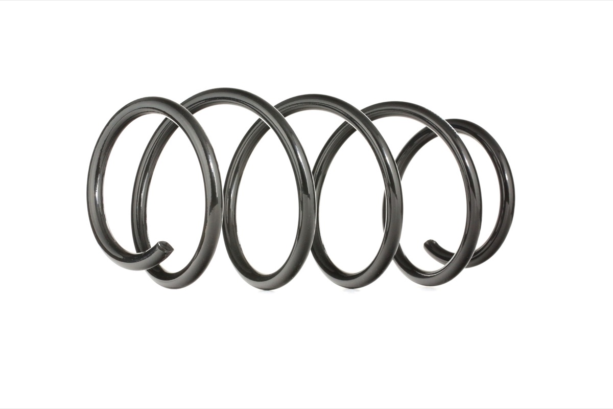 Ridex 188C0314 Coil Spring