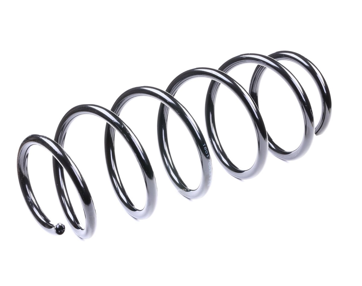 Ridex 188C0316 Coil Spring