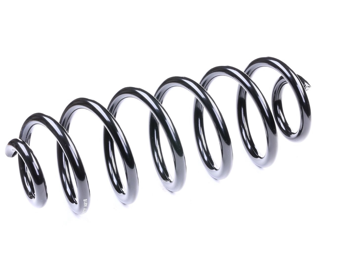Ridex 188C0343 Coil Spring