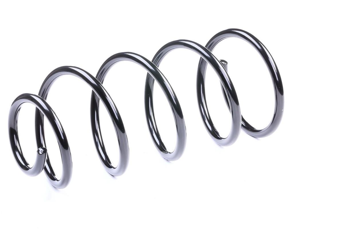 Ridex 188C0370 Coil Spring